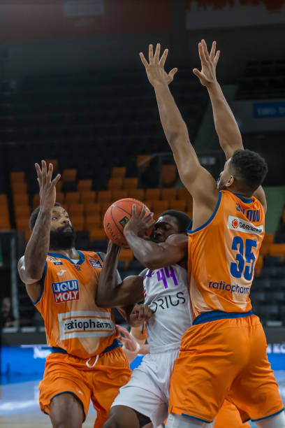 的多样性和 的多样性和